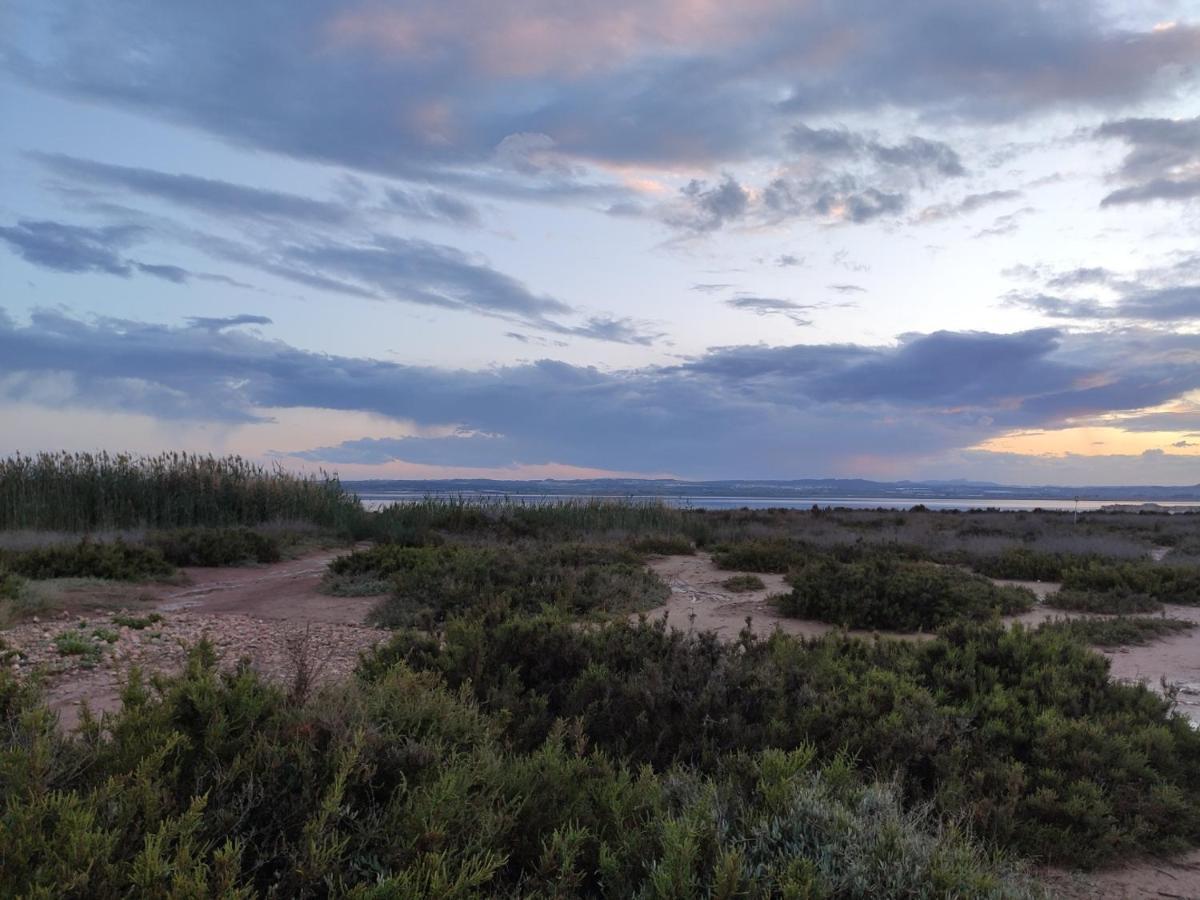 Apartamento Torre Zeus, La Mata, 托雷维耶哈 外观 照片
