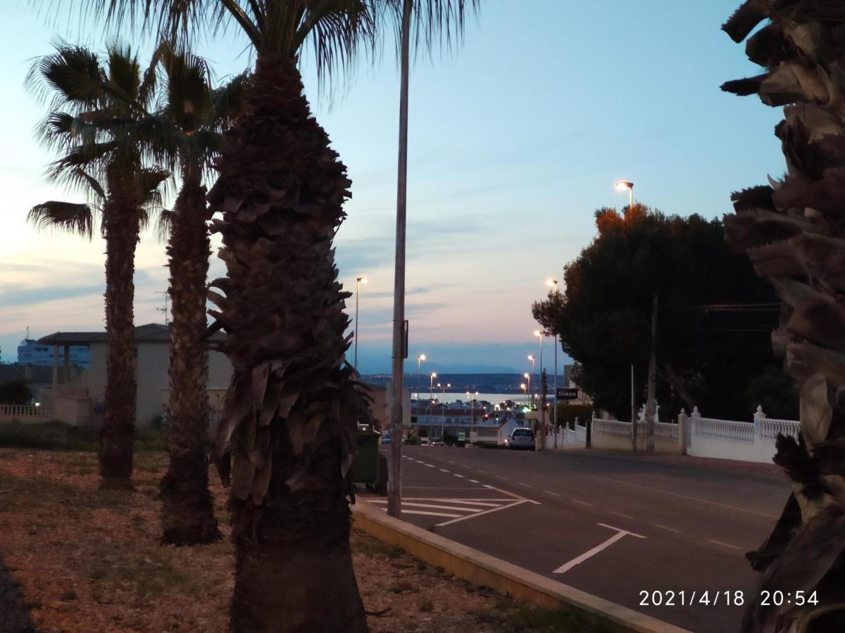 Apartamento Torre Zeus, La Mata, 托雷维耶哈 外观 照片
